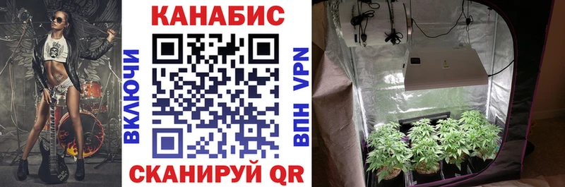  КОКАИН Пугачёв