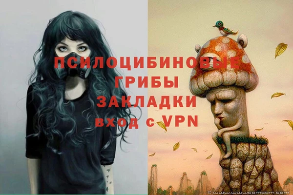a pvp Баксан
